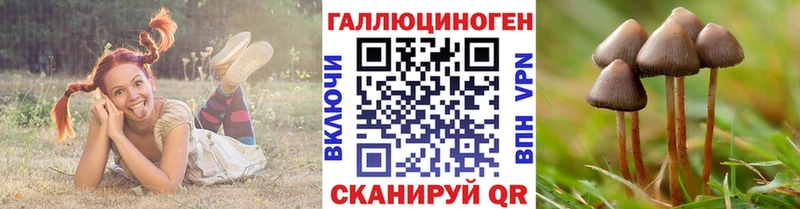 Псилоцибиновые грибы ЛСД  закладка  Астрахань 